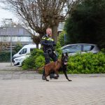 Rotterdammer (35) aangehouden na achtervolging door Bergschenhoek na bedreiging van vrouw