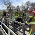 Paard komt vast te zitten in gat van brug Hoeksekade in Bergschenhoek
